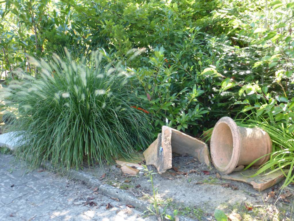 Premm Gartenbau Landschaftsbau Baumschule In Roding Und Umgebung