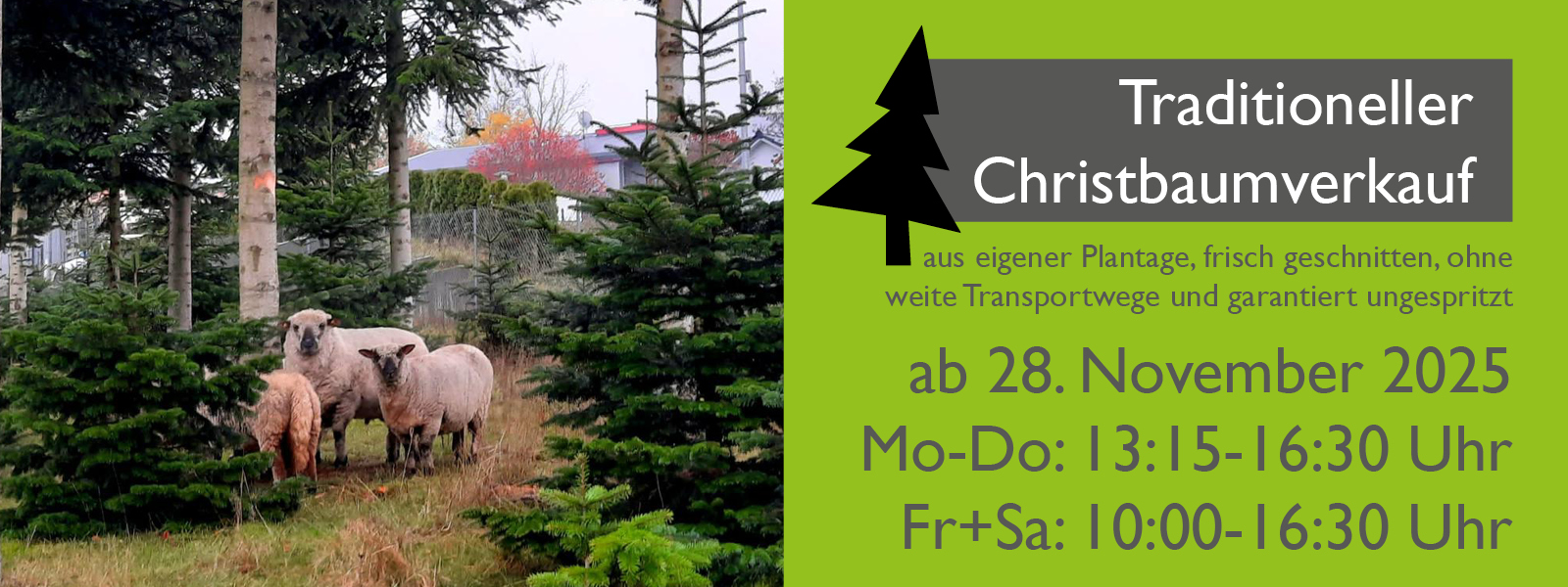 Christbaumverkauf Garten Premm 2025